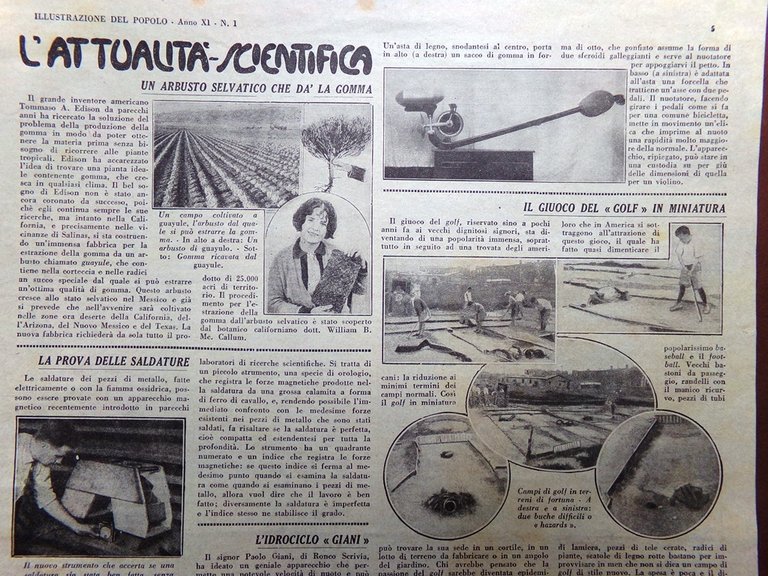 Pagina del 1931 Nuova razza Api Bianco Arbusto Minigolf Saldature …