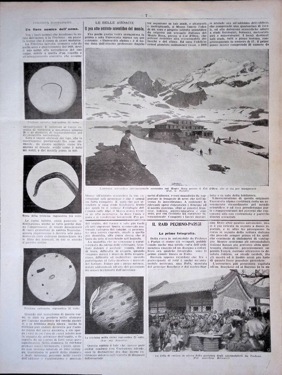 Pagine del 1907 Trichina Istituto Monte Rosa Tiro Federale Zurigo …