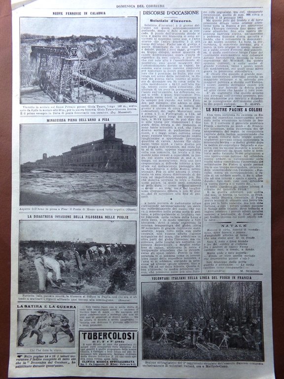 Pagine del 1915 WW1 Sgambati Piena Arno Pisa Filossera Puglie …