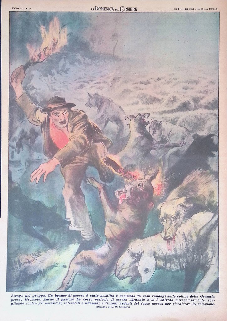 Retrocopertina Domenica del Corriere nr. 30 del 1953 Strage Gregge …