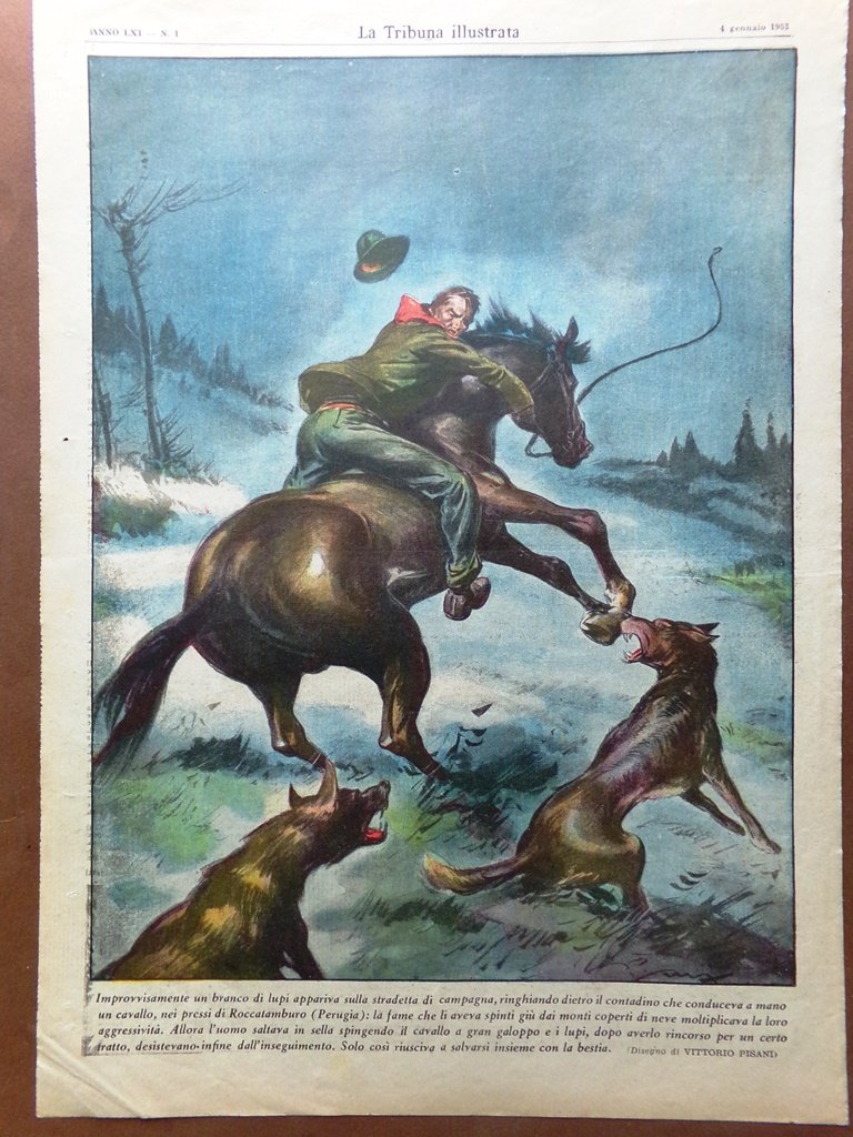 Retrocopertina Tribuna Illustrata nr. 1 del 1953 Lupi Roccatamburo Contadino