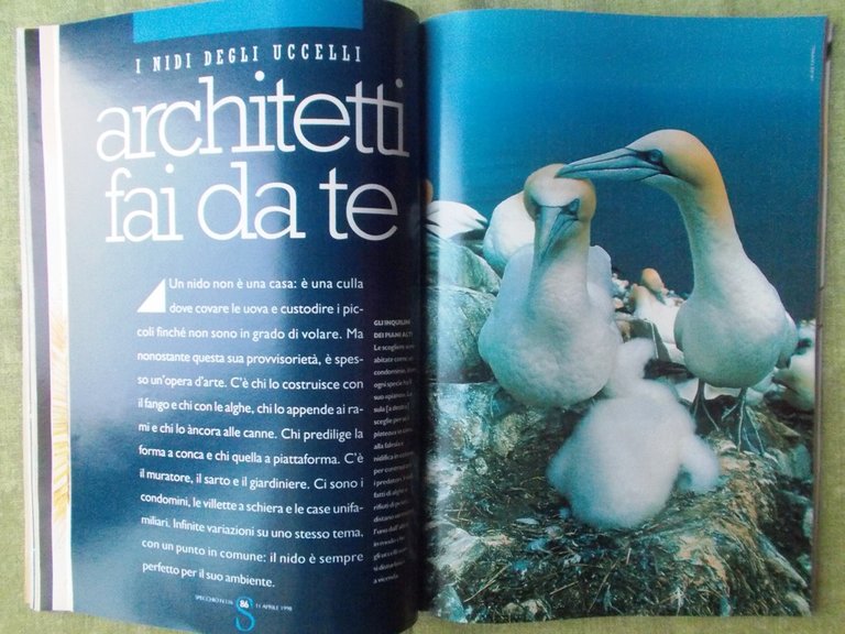 Specchio 11 Aprile 1998 Elton John Magistretti William Design Masserie …