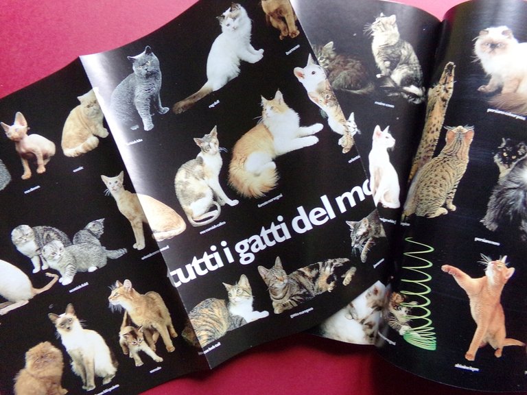 Specchio 13 Aprile 1996 Liv Tyler Arte Impressionismo Comicità Isole … | Immagine Gallery 2