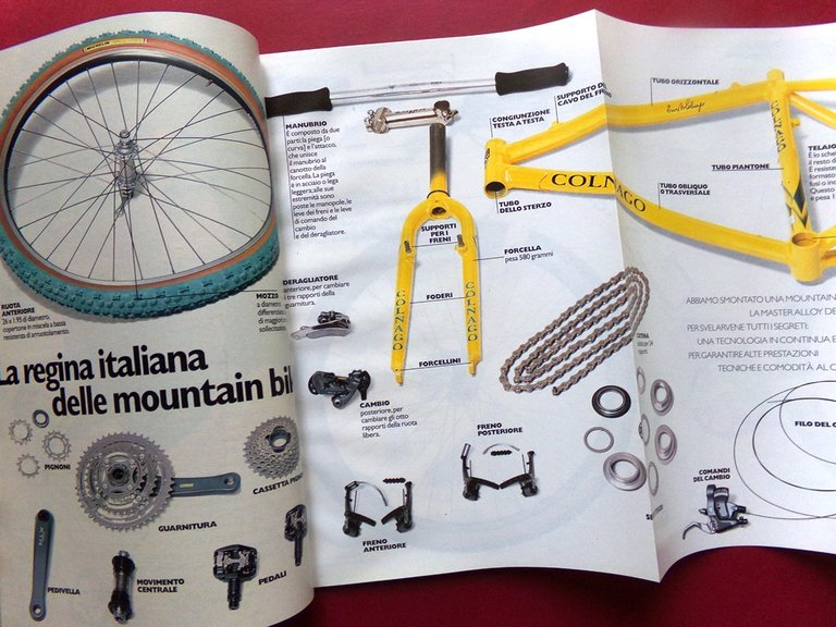 Specchio 14 Settembre 1996 Migrazioni Animali Poeti di Oggi Beagle … | Immagine Gallery 2