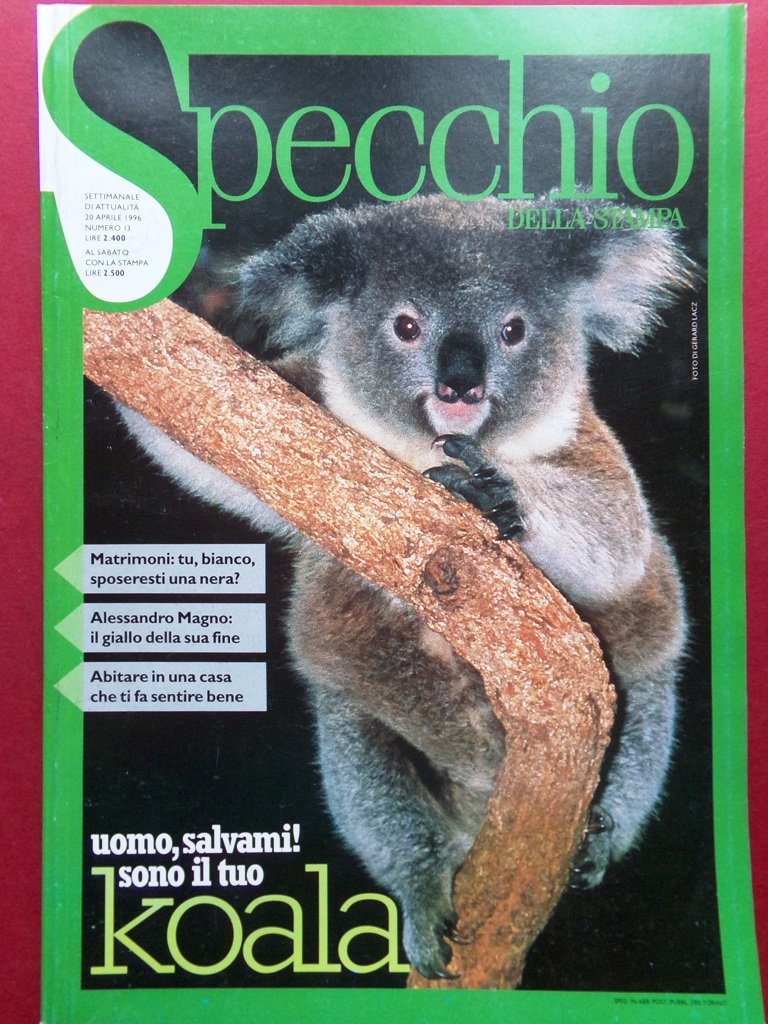 Specchio 20 Aprile 1996 Koala Alessandro Magno Coca Cola Abitare … | Immagine principale