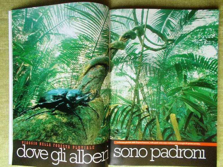 Specchio 21 Novembre 1998 Hillary Clinton Fisiognomica Thatcher Birmania Foresta