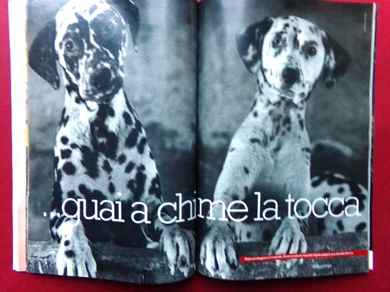 Specchio 26 Ottobre 1996 Bill Clinton Gerini Puglia Dalmata Romanticismo … | Immagine Gallery 2