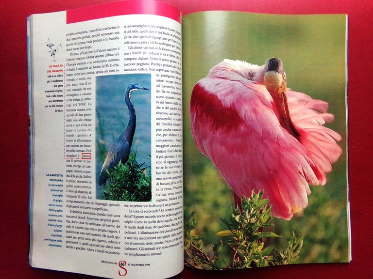 Specchio 30 Novembre 1996 Fabrizio De André Sharon Stone Salerno … | Immagine Gallery 3