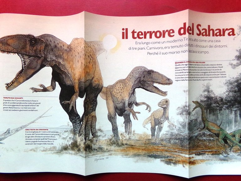 Specchio 31 Agosto 1996 Bongiorno Bagnini Leigh Dinosauri Sacra Sindone … | Immagine Gallery 2
