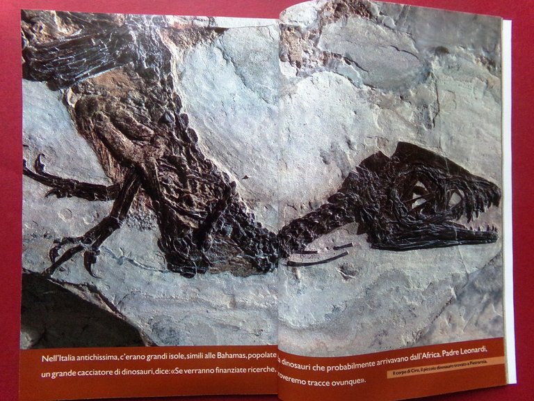 Specchio 7 Settembre 1996 Campionato di Calcio San Siro Dinosauri … | Immagine Gallery 4