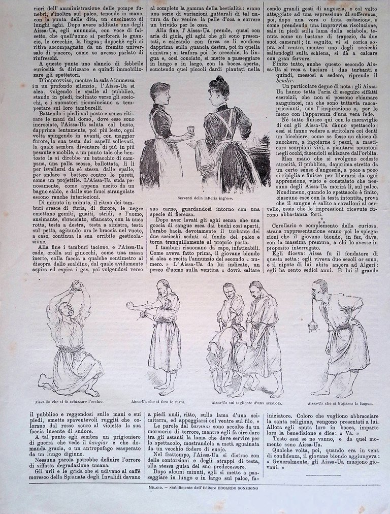 Stampa del 1889 Disegni serventi Latteria Inglese Alessa-Ua Fachiro Esposizione