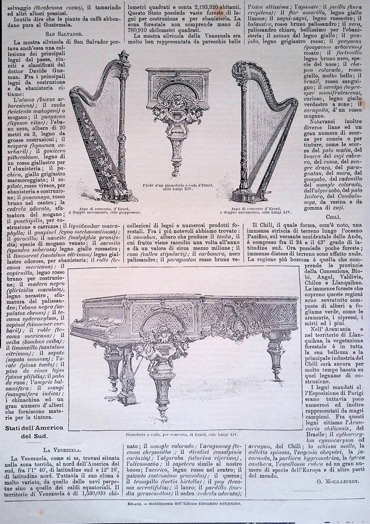 Stampa del 1889 Disegni Strumenti Pianoforte a Coda Erard Luigi …