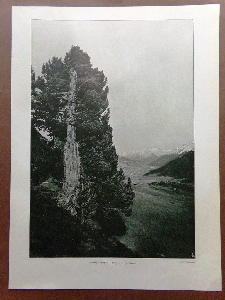 Stampa del 1925 Dintorni Saint Moritz Laghi Prati Montagne Sole