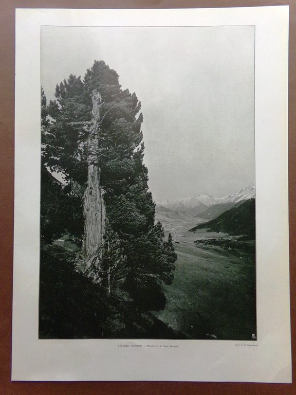 Stampa del 1925 Dintorni Saint Moritz Laghi Prati Montagne Sole | Immagine Gallery 1