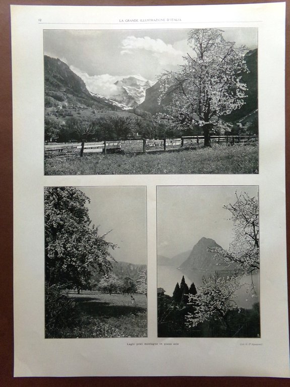 Stampa del 1925 Dintorni Saint Moritz Laghi Prati Montagne Sole