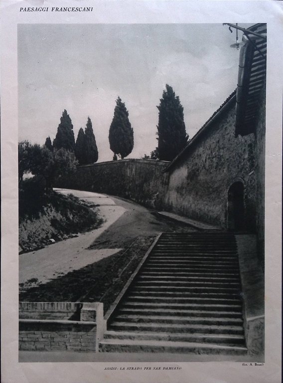 Stampa del 1926 Gigantesco Allevamento Anitre Wrentham Assisi Strada San … | Immagine Gallery 2