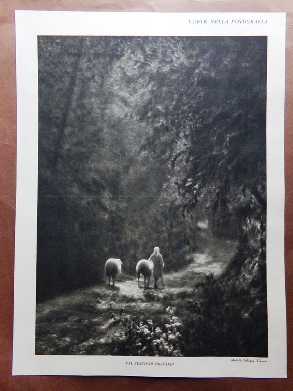 Stampa del 1927 Arte nella Fotografia Ritorno Campi Vedetta Sentiero …