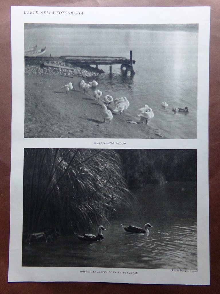 Stampa del 1927 Arte nella Fotografia Sponde del Po Laghetto …