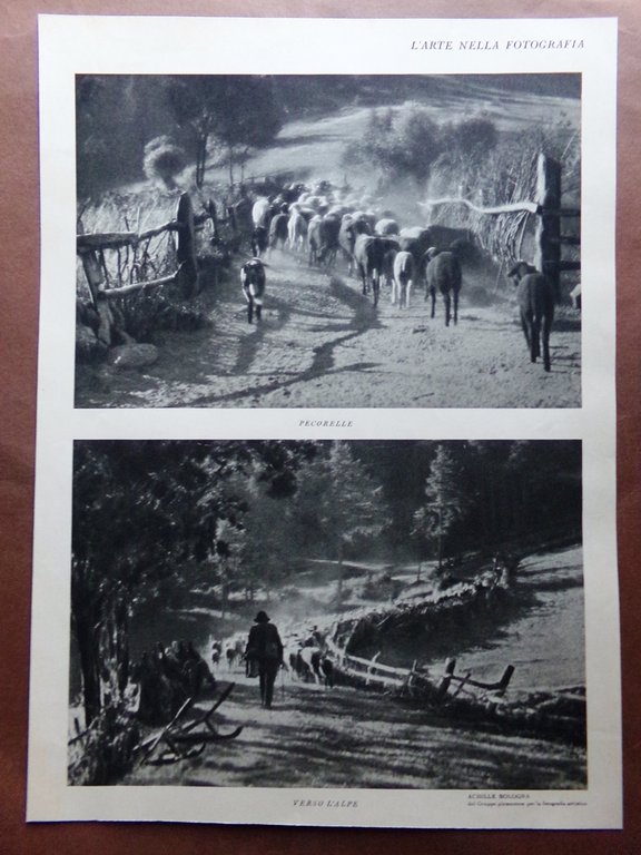Stampa del 1927 Arte nella Fotografia Sponde del Po Laghetto …