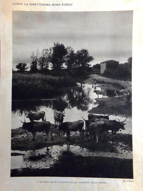 Stampa del 1927 Direttissima Roma Napoli Acquitrini Pontine Torre Ninfa