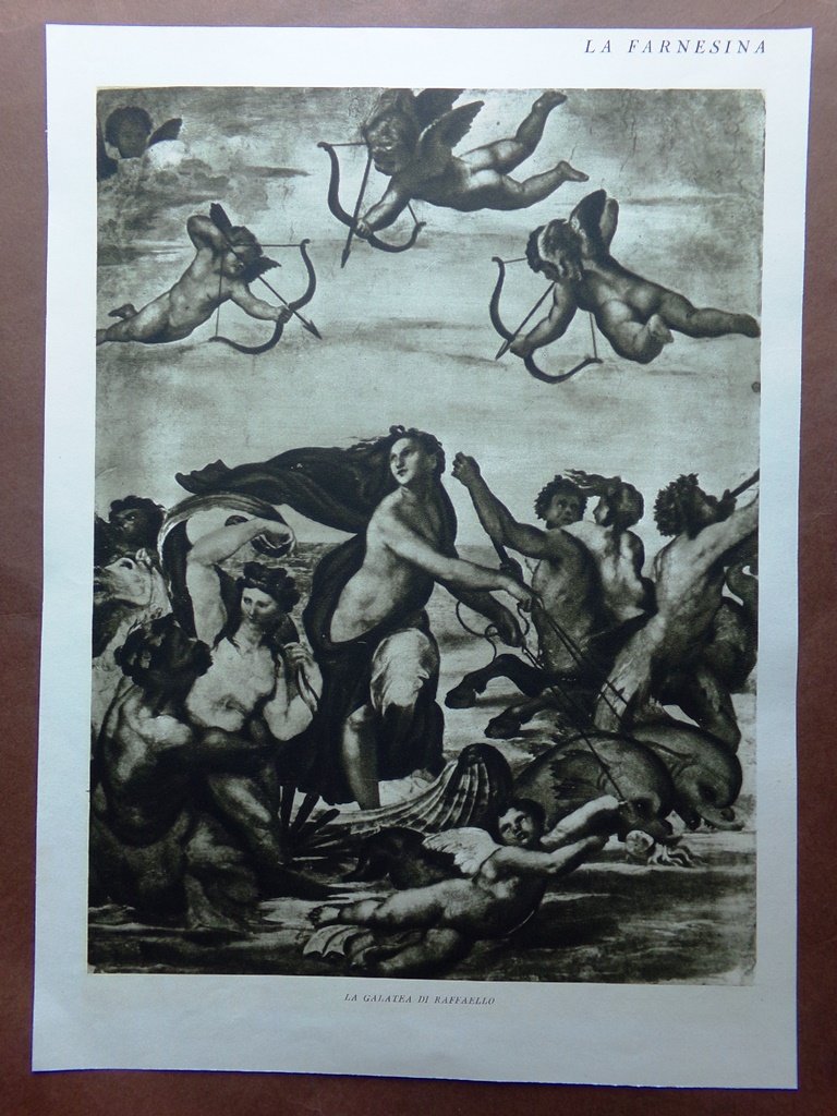 Stampa del 1927 Farnesina Galatea di Raffaello Scolari Psiche Venere …