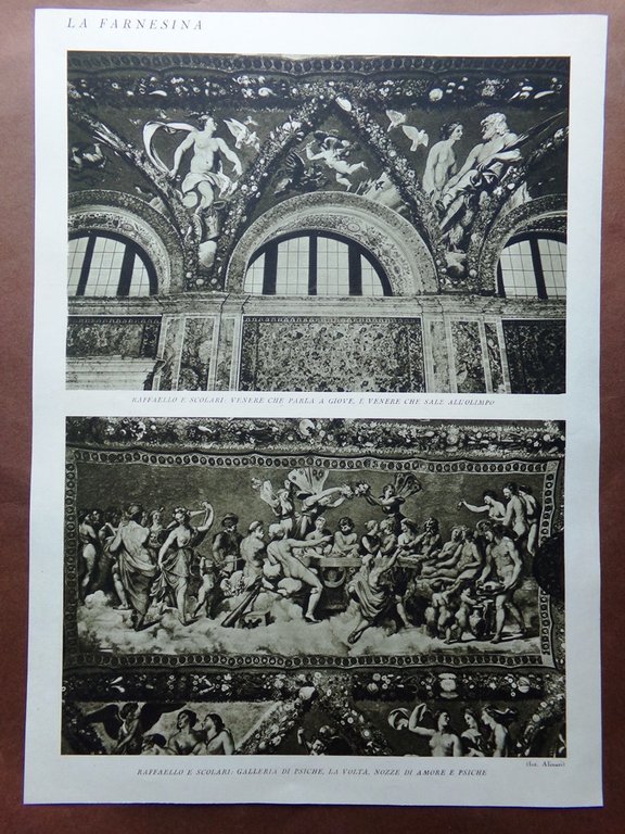 Stampa del 1927 Farnesina Galatea di Raffaello Scolari Psiche Venere …