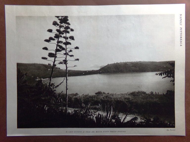 Stampa del 1927 Napoli Clivi Vesuvio Isola Nisida Lago Lucrino …