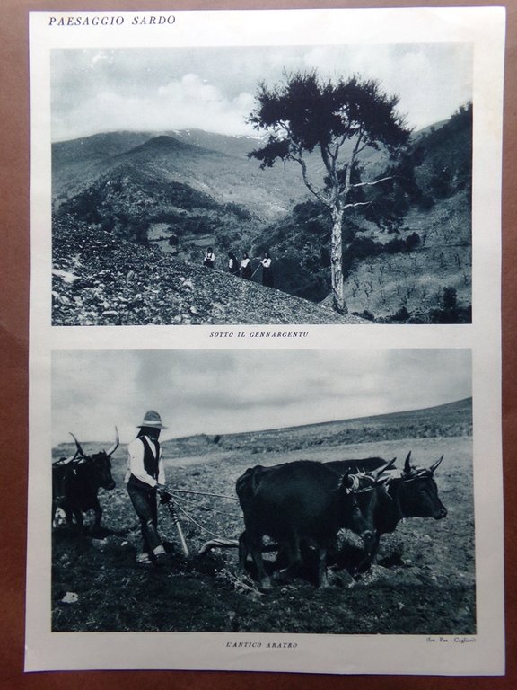 Stampa del 1927 Paesaggio Sardo Cagliari dal Monte Urpino Gennargentu …