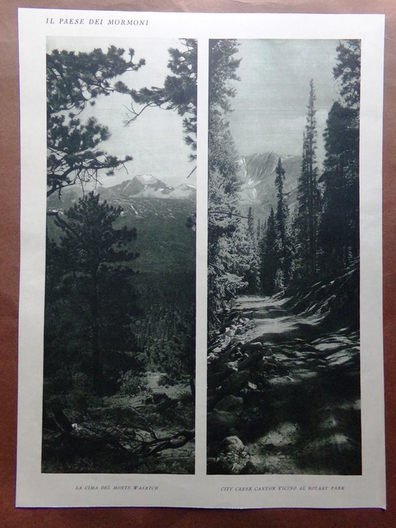 Stampa del 1927 Paese Mormoni Utah Salt Lake Wasatch City …