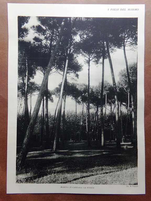 Stampa del 1927 Paesi Marmo Carrara Ritorno Pesca Bocca di …