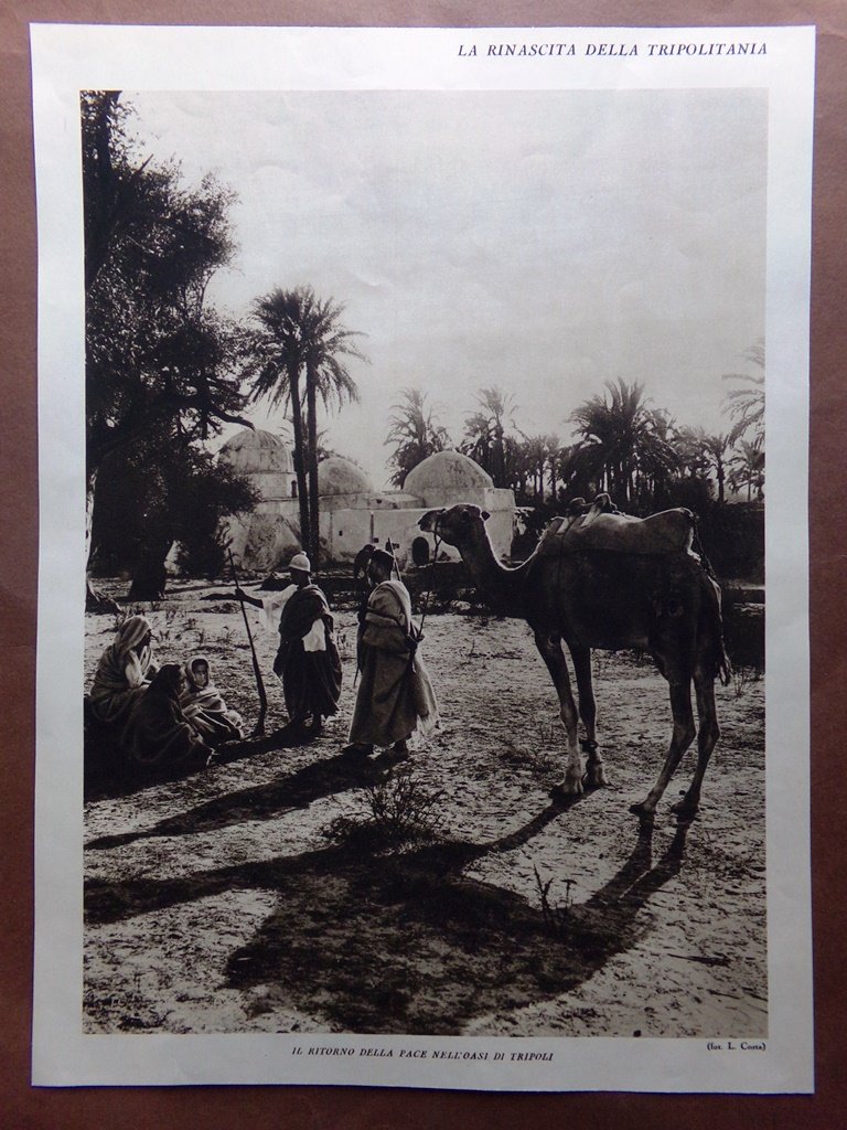 Stampa del 1927 Rinascita Tripolitania Oasi Tripoli Ulivi Mercato Stuoie …
