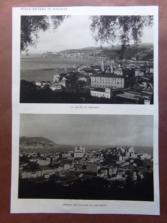 Stampa del 1927 Riviera Ponente Imperia Capo Berta Golfo Ulivo