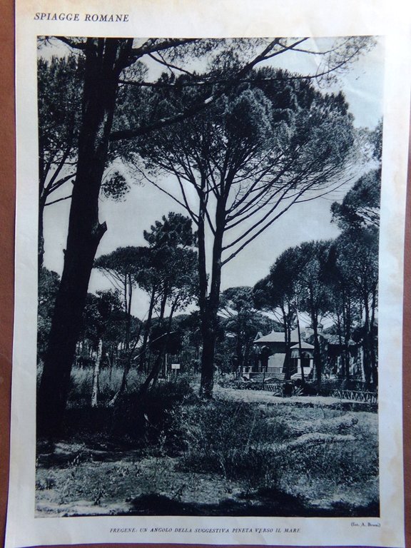 Stampa del 1927 Spiagge Romane Stabilimenti Anzio Nettuno Fregene