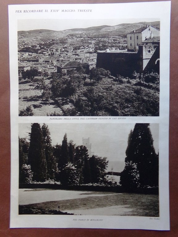 Stampa del 1927 Trieste Cattedrale San Giusto Castello Parco Miramare …