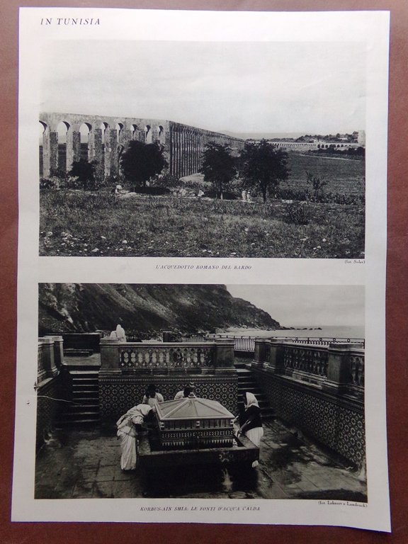 Stampa del 1927 Tunisia Giardino Cartagine Acquedotto Romano Korbus-Ain Shia