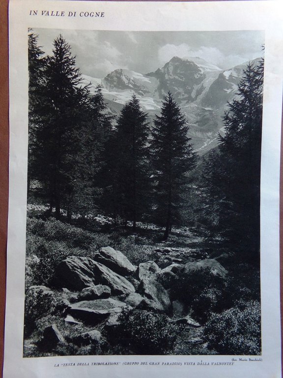 Stampa del 1927 Val di Cogne Valnontey Testa Tribolazione Paese