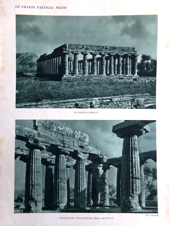 Stampa del 1927 Vestigia di Pesto Basilica Greca Tempio Nettuno