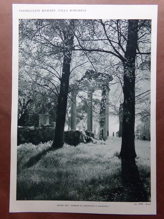 Stampa del 1927 Villa Borghese Balaustrata Giardino Tempio di Antonino …