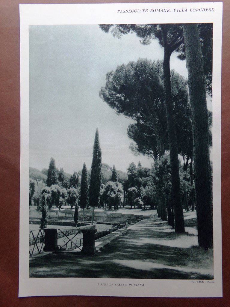 Stampa del 1927 Villa Borghese Fontana Cavalli Marini Fetonte Tritone …