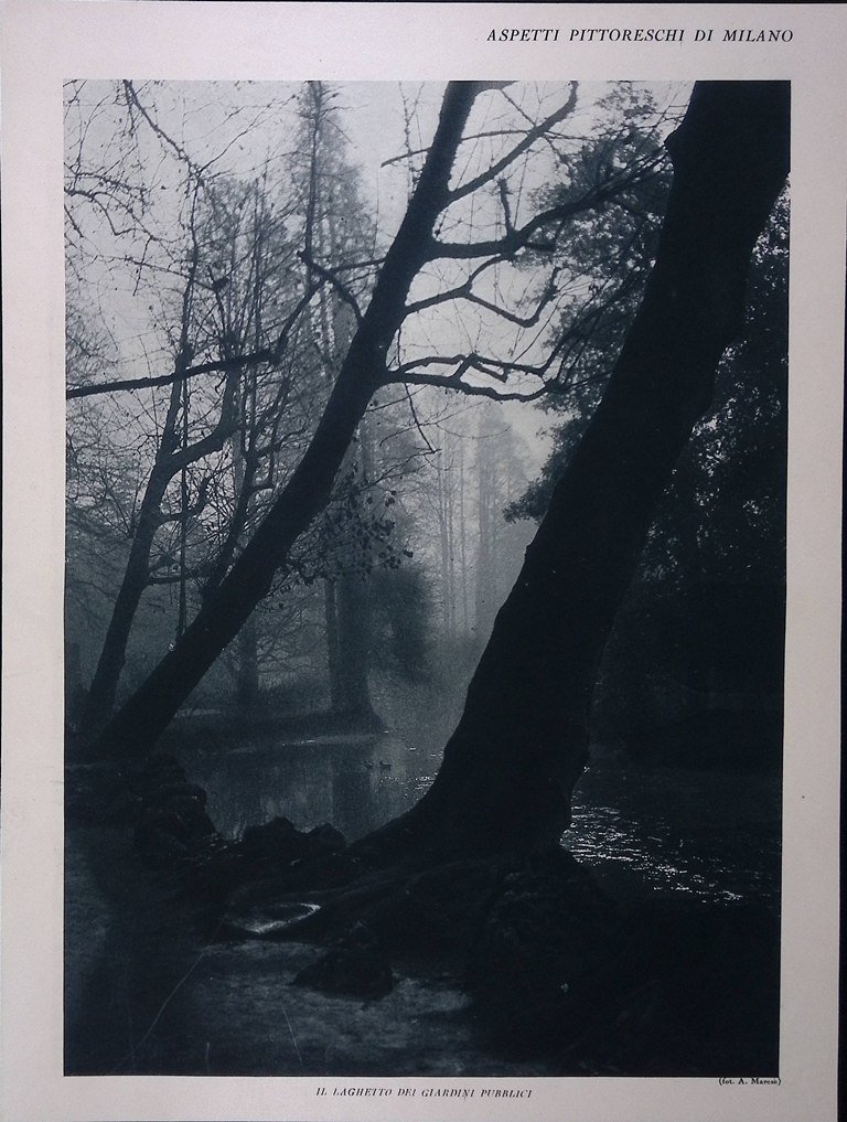 Stampa del 1928 Aspetti di Milano Giardini Pubblici Laghetto Parco …