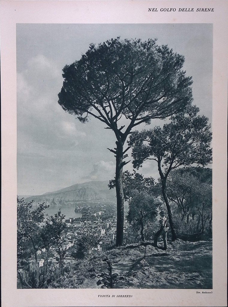 Stampa del 1928 Golfo delle Sirene Sorrento Veduta Isola Ischia …