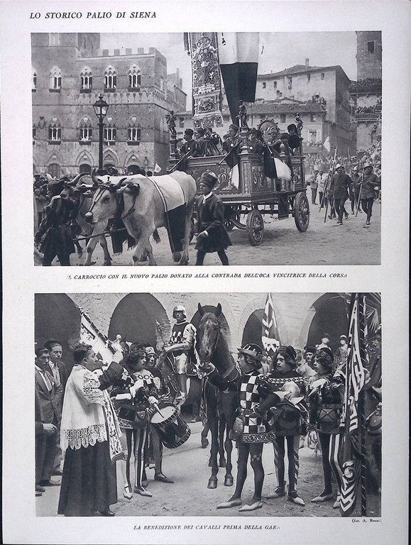 Stampa del 1928 Palio di Siena Sfilata Contrade Carroccio Dell'Oca …
