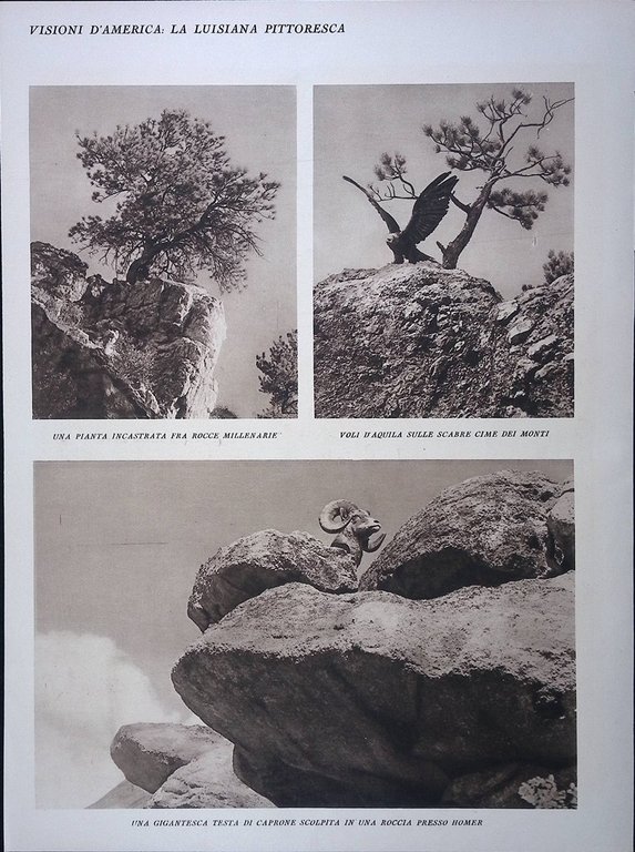 Stampa del 1928 Visioni d'America Louisiana Vette Monti Pleasan Homer