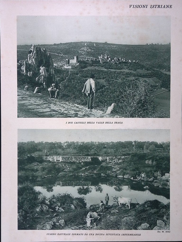 Stampa del 1928 Visioni Istriane Valle Draga Stagno Isola Cissa …