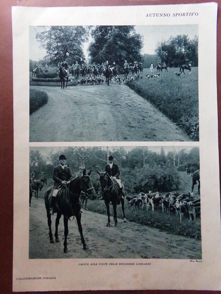 Stampa del 1929 Autunno Sportivo Caccia Volpe Brughiere Lombarde