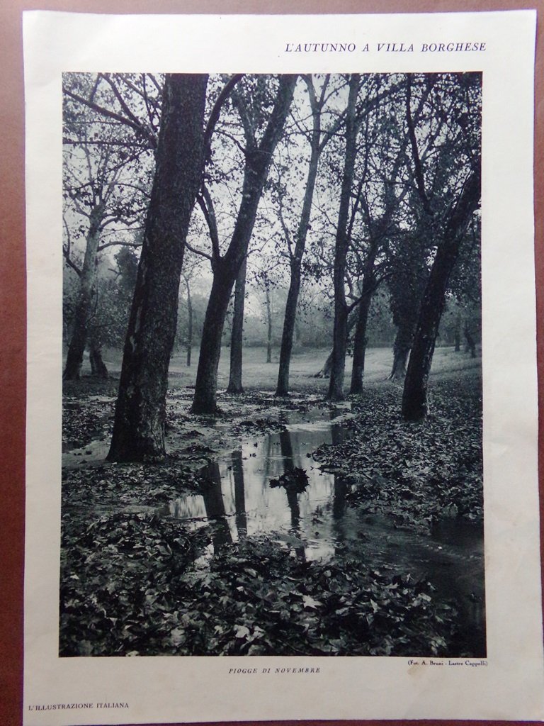 Stampa del 1929 Autunno Villa Borgherse Piogge Novembre