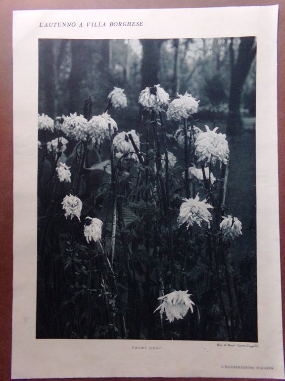 Stampa del 1929 Autunno Villa borghese Riflessi Primi Geli