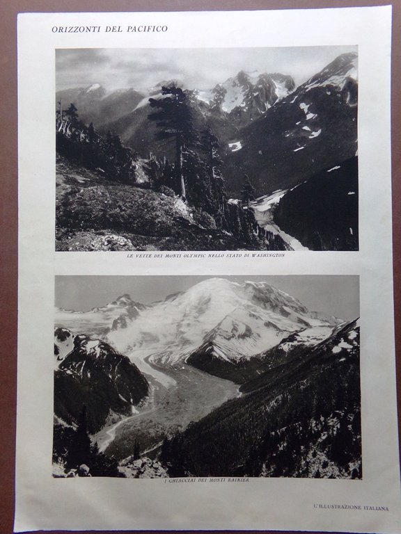 Stampa del 1929 Boschi British Columbia Monti Olympic Washington Rainier