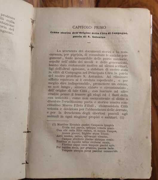 VITA DEL SANTO ABATE ANTONINO CONCITTADINO DELLA CITTA' DI CAMPAGNA …