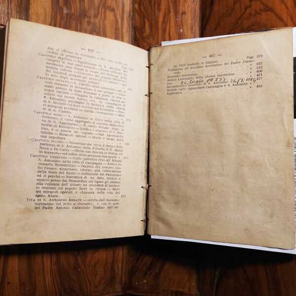 VITA DEL SANTO ABATE ANTONINO CONCITTADINO DELLA CITTA' DI CAMPAGNA …